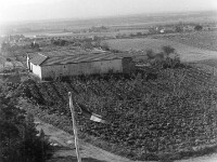 1962-01-Ouled Mendil 10