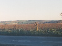 Vue du peloton.