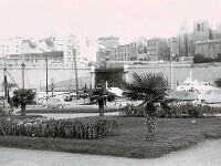 Port d'Alger